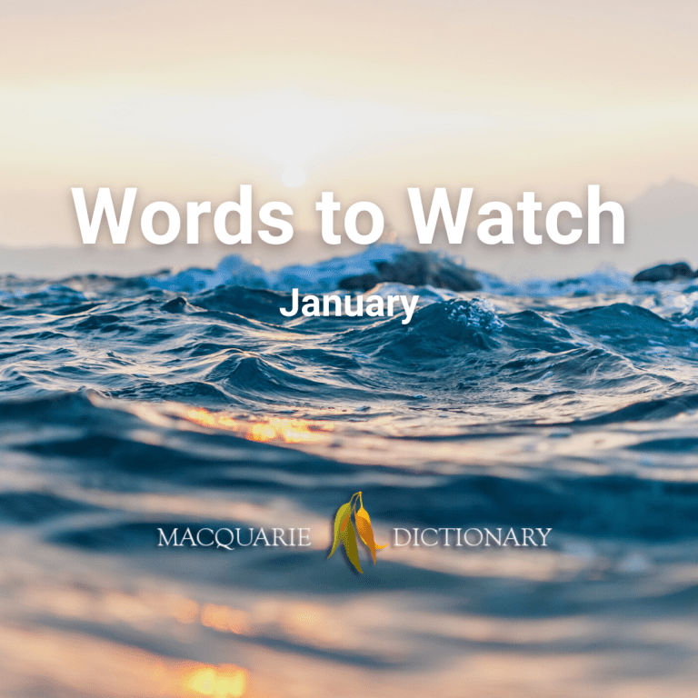 Five New Words For The New Year - Macquarie